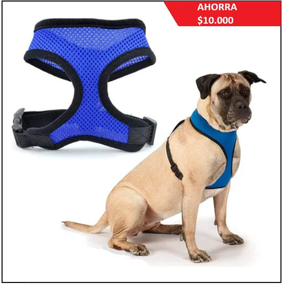Pechera para perro - TCC0003