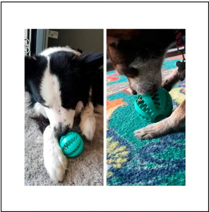 Pelota portasnack limpia sarro juguete para masticar - TCC0005