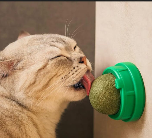 Juguete catnip de colores - TCC0008