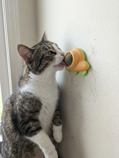 Juguete con Catnip Nave Espacial para Gatos - TCC0011