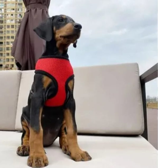 Pechera para perro - TCC0003